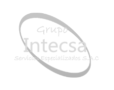 Grupo Intecsa S.A.C.