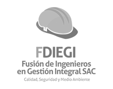 Fusion de Ingenieros en Gestión Integral S.A.C.