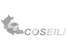 Coseil S.A.C.