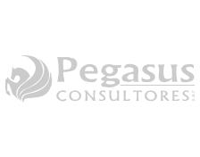 Pegasus Consultores S.A.C.